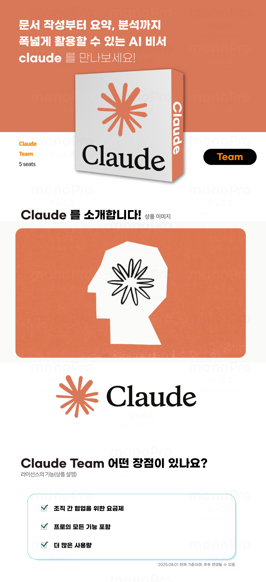 cluade team standard-상세설명.jpg